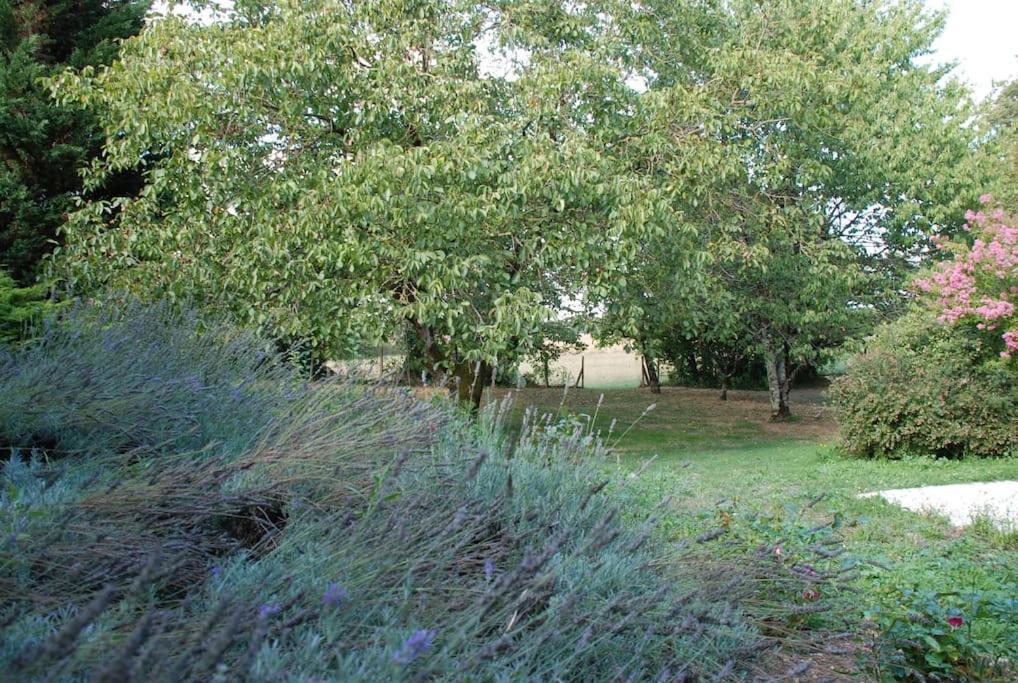 Uniquely Private Holiday Villa In The Charente Puyreaux Εξωτερικό φωτογραφία
