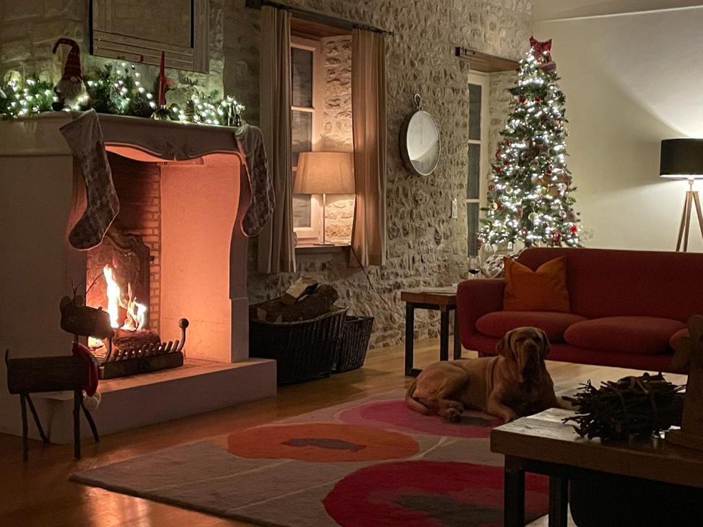 Uniquely Private Holiday Villa In The Charente Puyreaux Εξωτερικό φωτογραφία